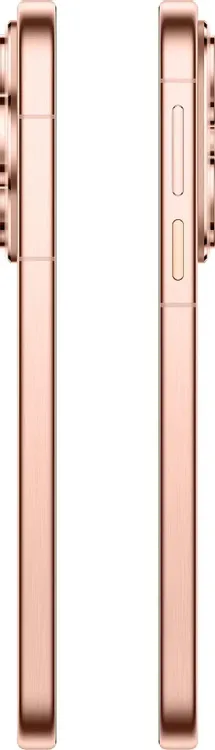 Huawei Pura 80 12/256 Gold