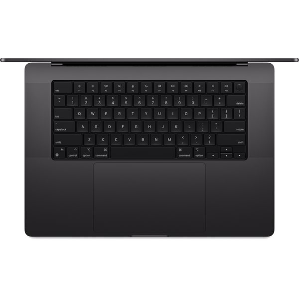 MacBook Pro 16 M4 Max 36/1Tb Space Black (MX303)