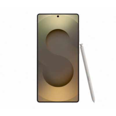 Samsung Galaxy S25 Ultra 12/256 Titanium Gray